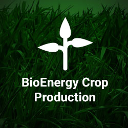 Home-Page_Services_Bio-Energy-Crop-Production_Icon